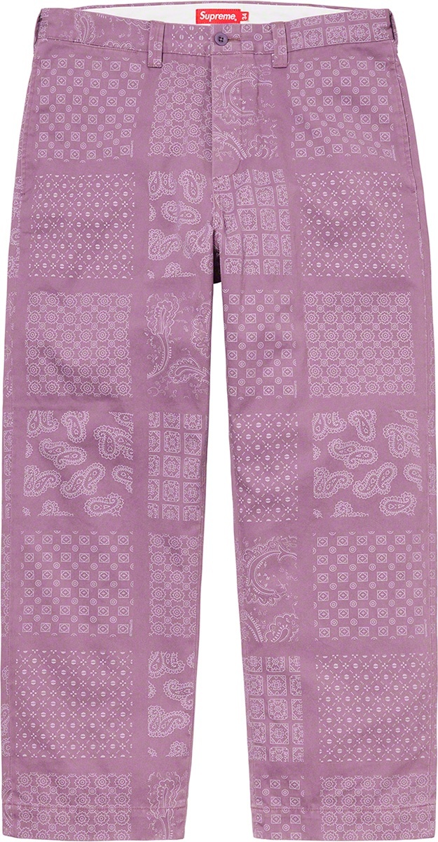 Paisley Grid Chino Pant view 6